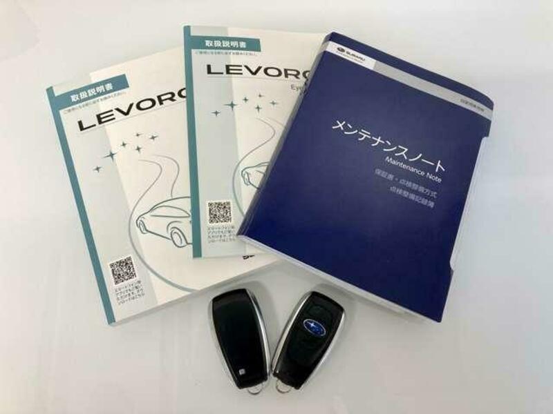 LEVORG