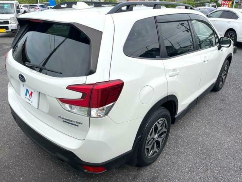 FORESTER