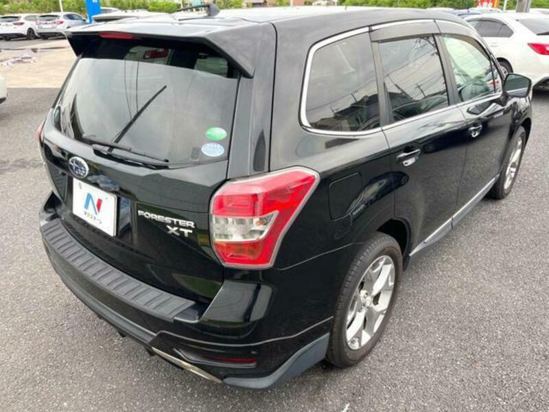 FORESTER