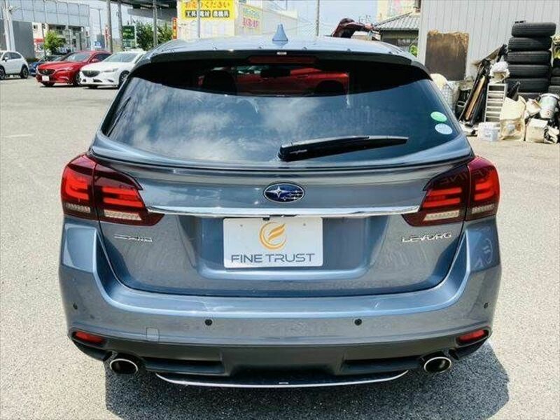 LEVORG