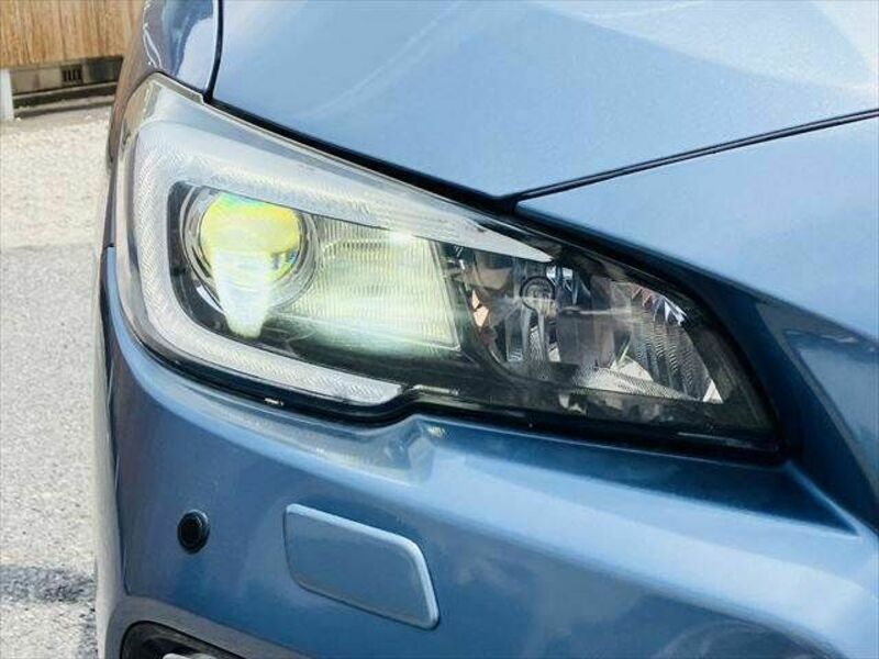 LEVORG