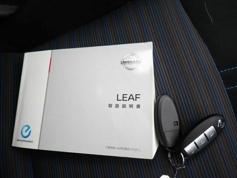 LEAF