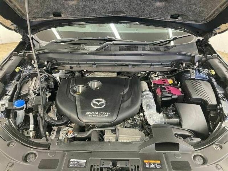 CX-8