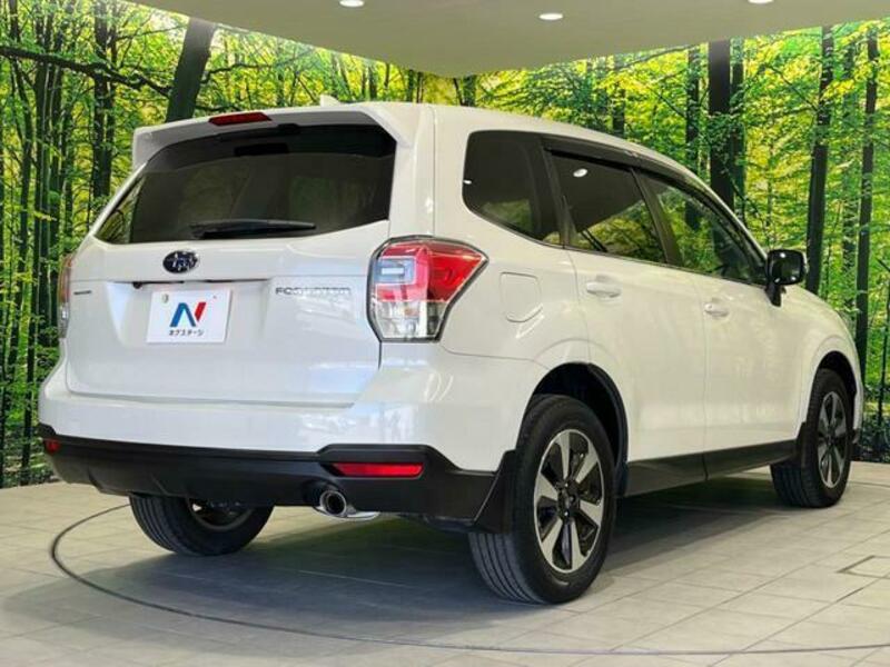 FORESTER