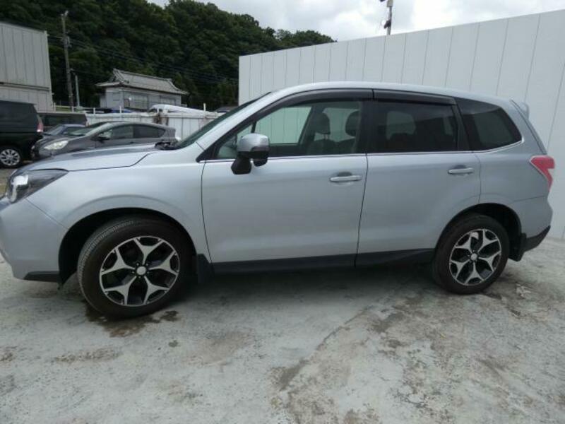 FORESTER