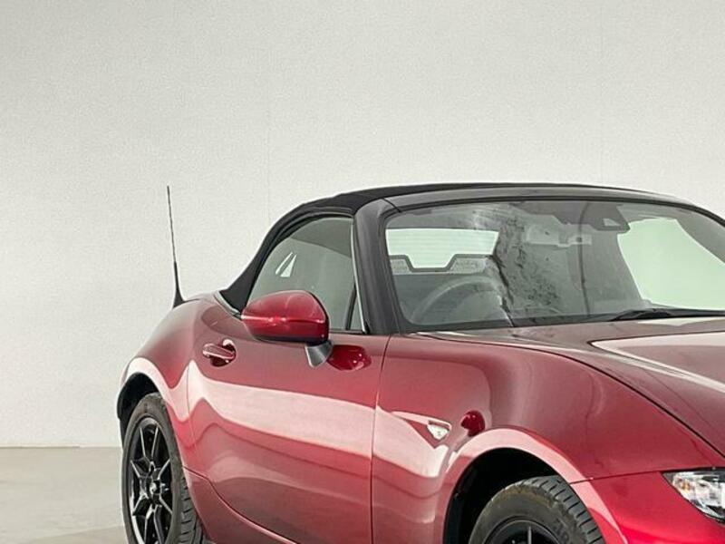 ROADSTER