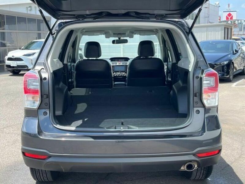 FORESTER