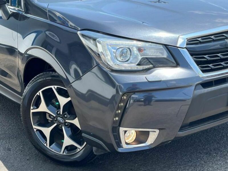 FORESTER