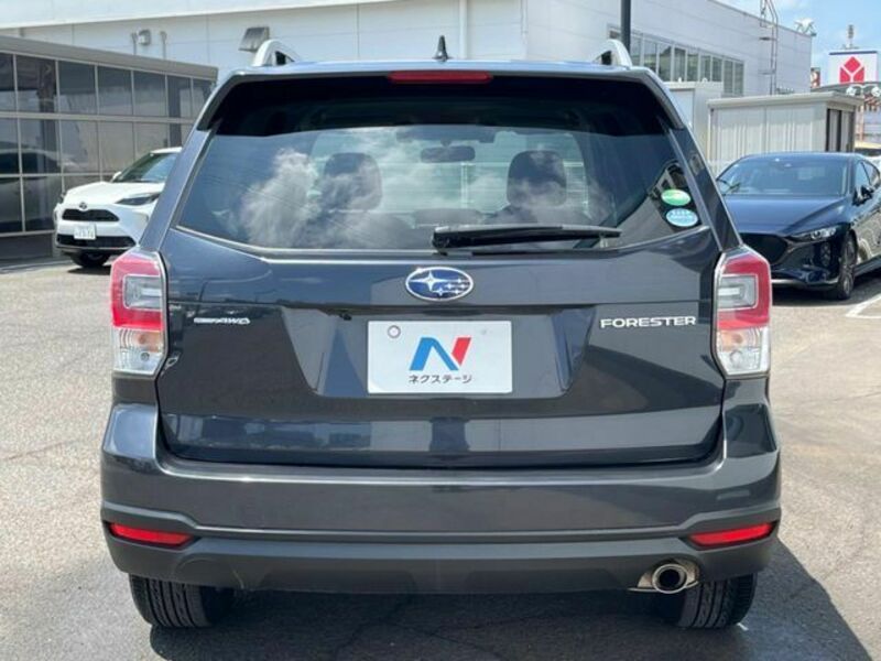 FORESTER