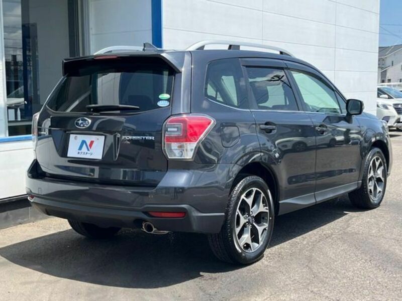 FORESTER