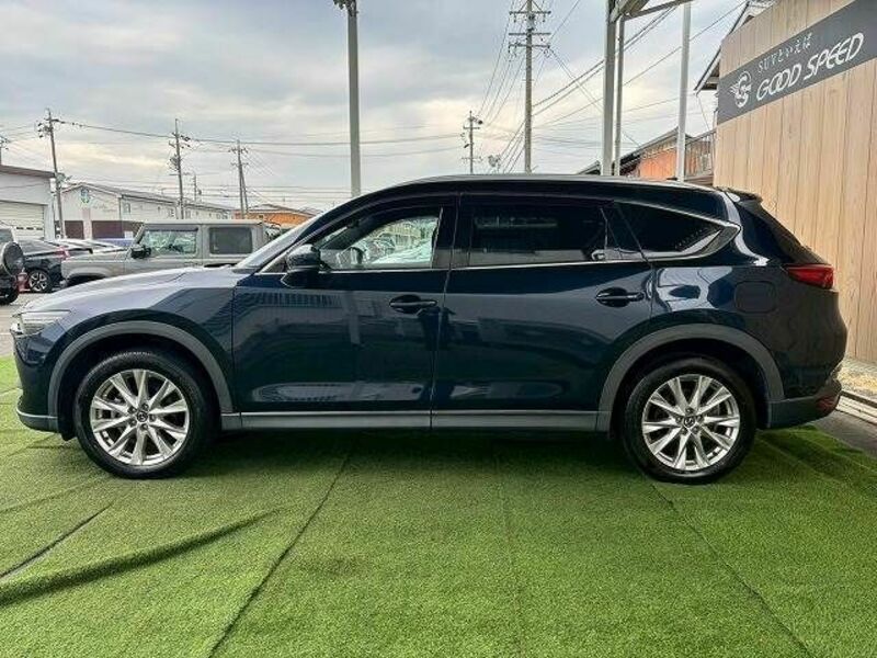CX-8