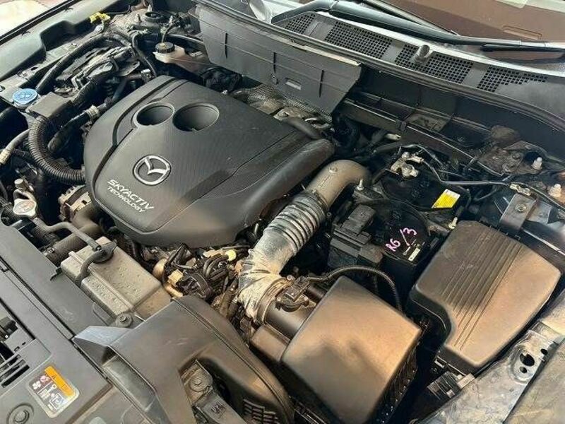 CX-8
