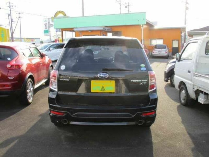 FORESTER