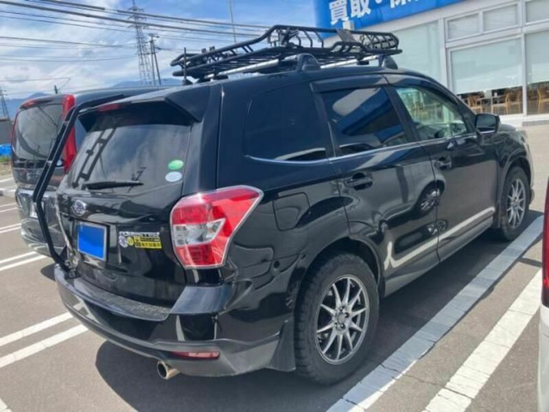 FORESTER