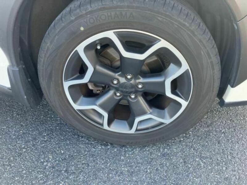 XV