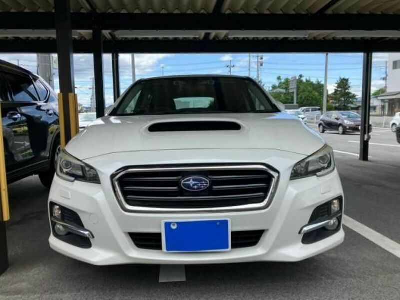 LEVORG-0