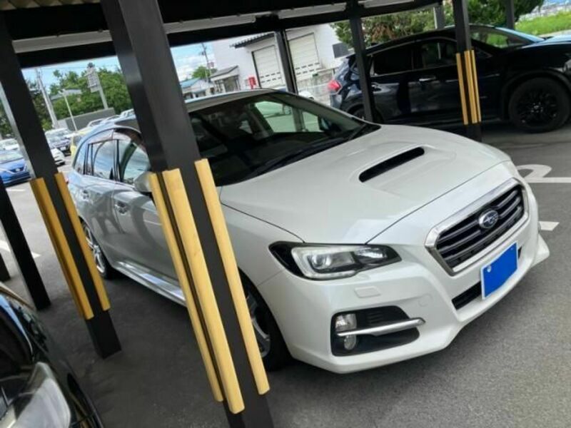LEVORG