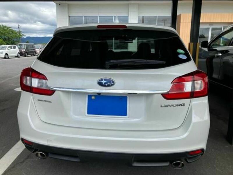 LEVORG