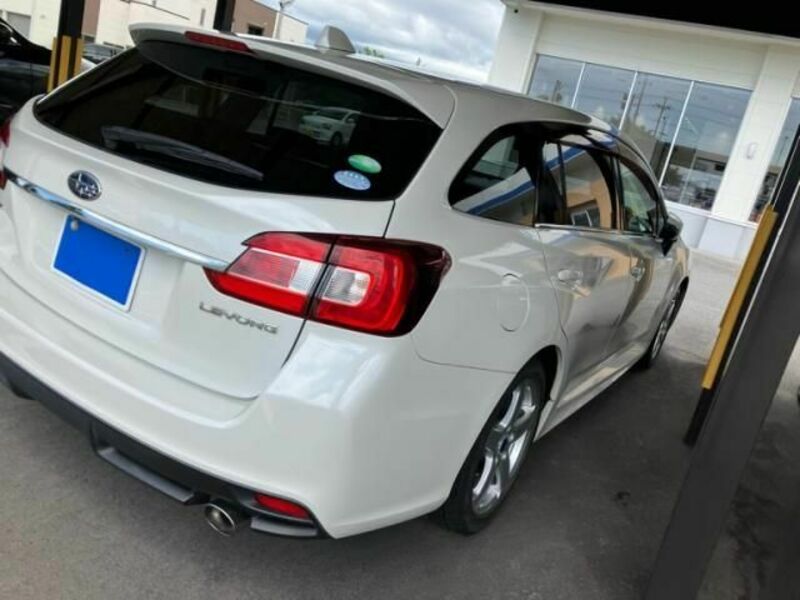 LEVORG