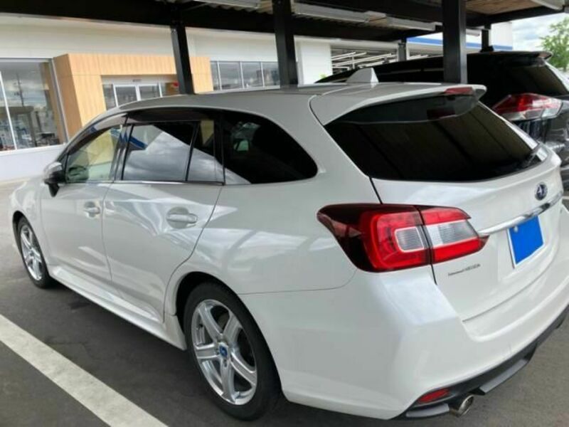 LEVORG