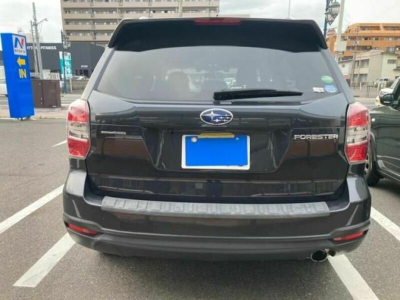 FORESTER