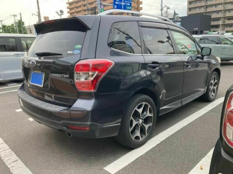 FORESTER