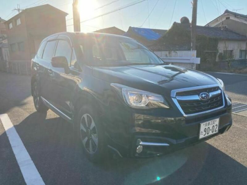 FORESTER