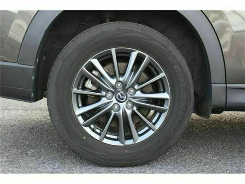 CX-8
