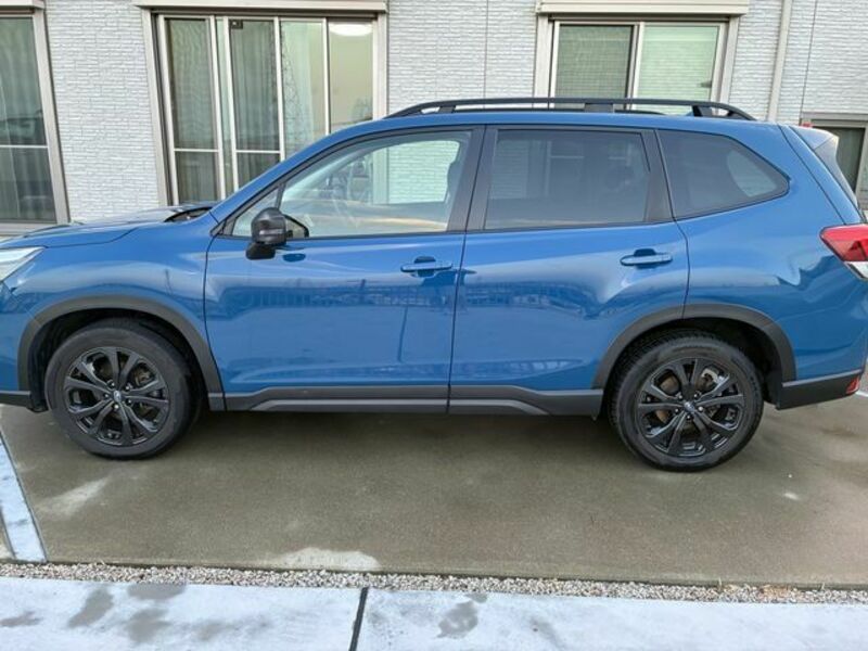 FORESTER
