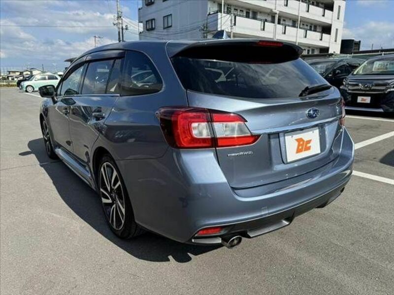 LEVORG