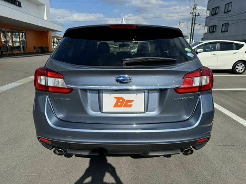 LEVORG
