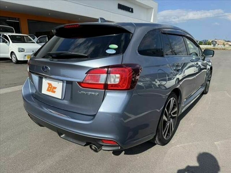 LEVORG