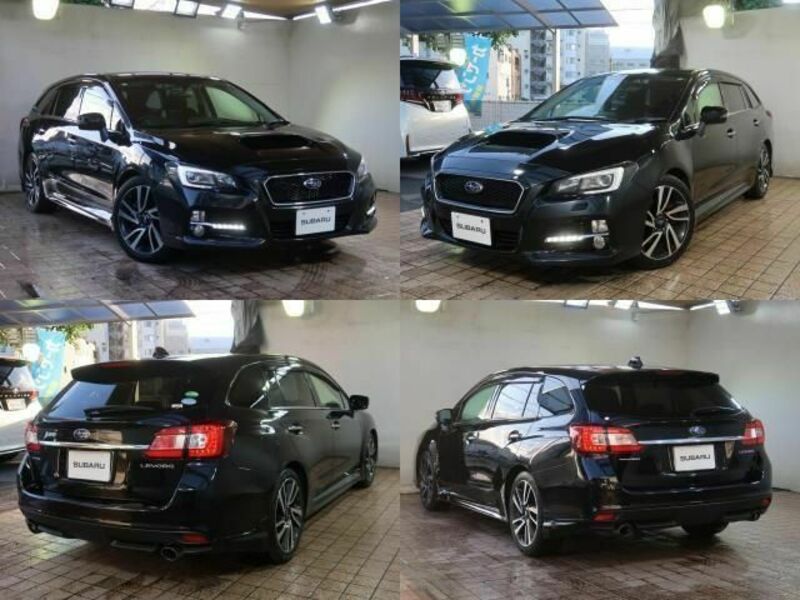 LEVORG