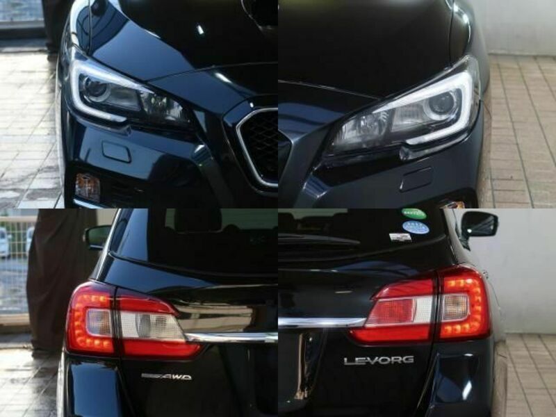 LEVORG