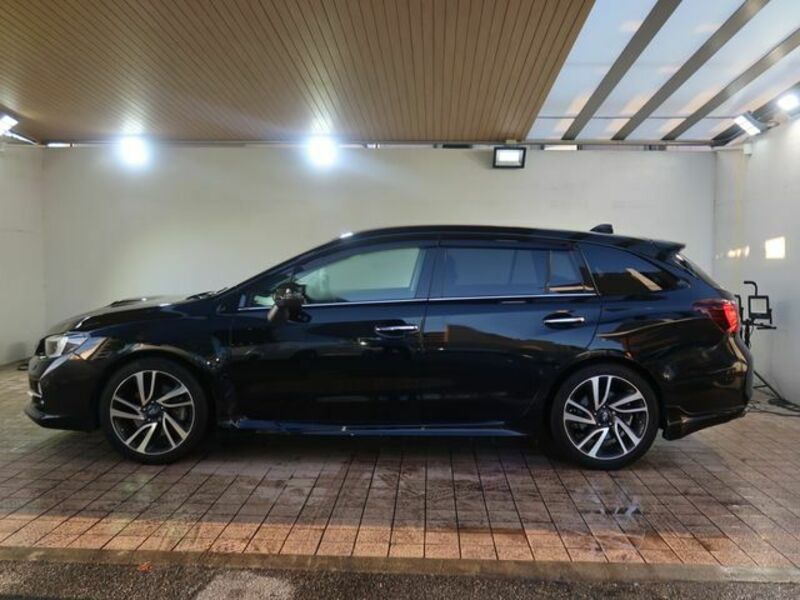 LEVORG