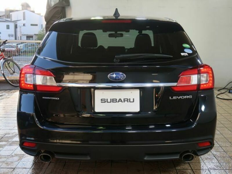 LEVORG