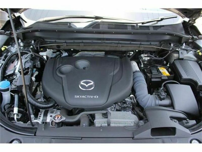 CX-8