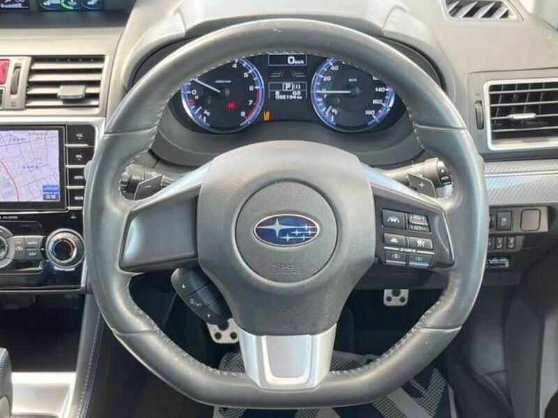 LEVORG