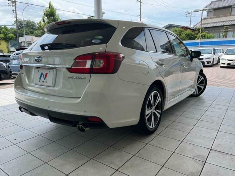 LEVORG