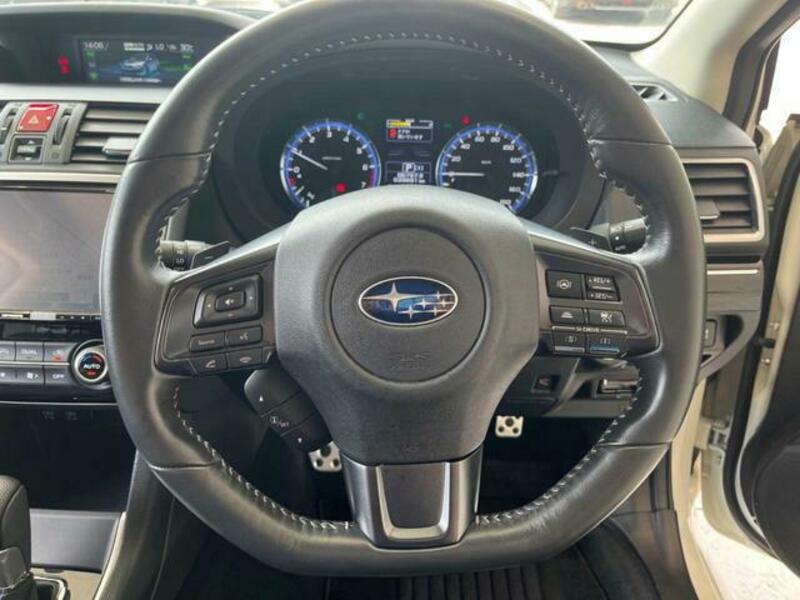 LEVORG