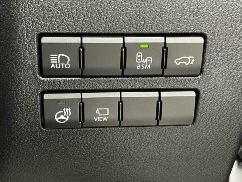 NX