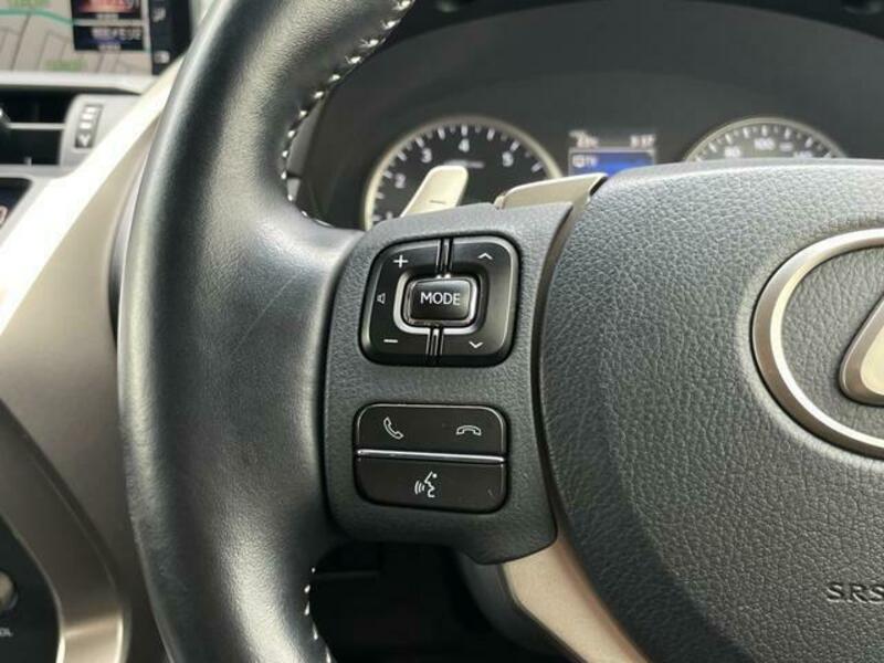 NX