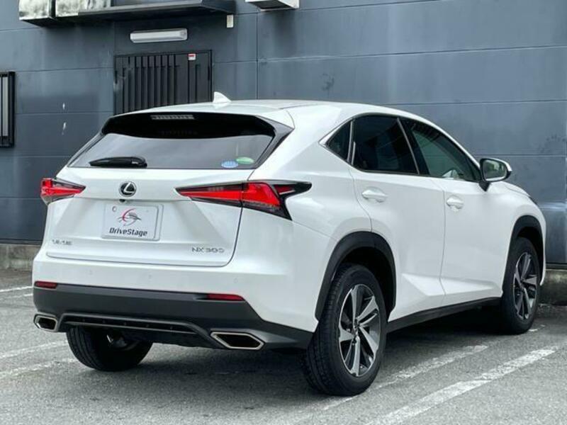 NX