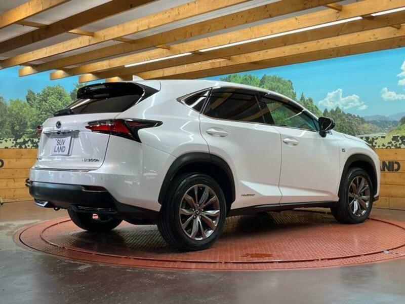NX