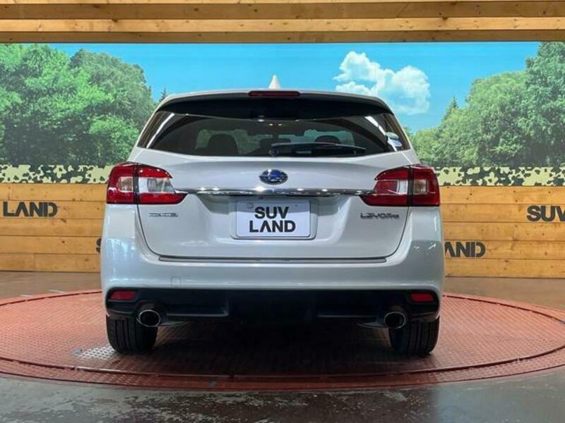 LEVORG
