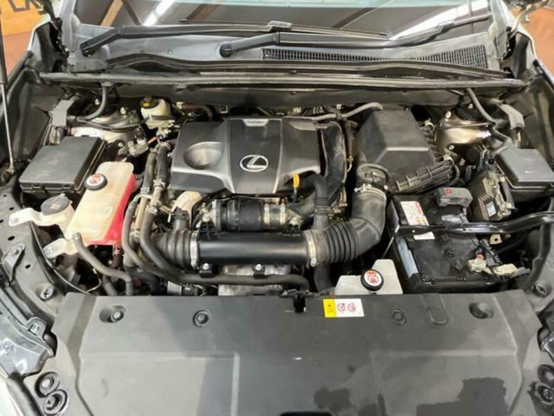 NX