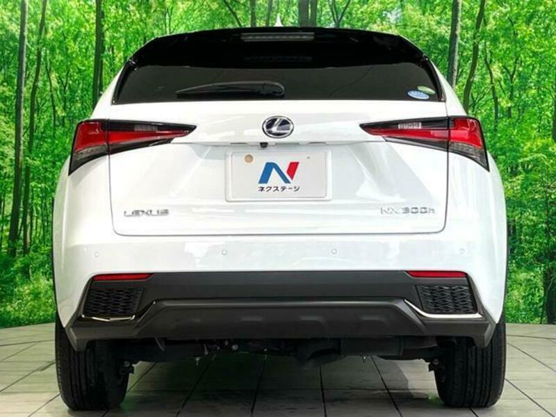 NX