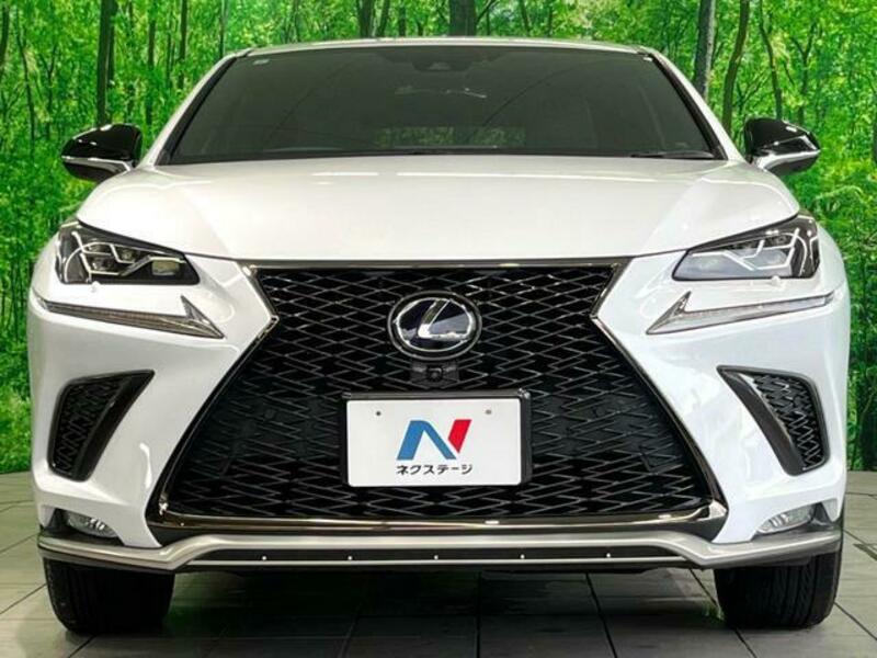 NX