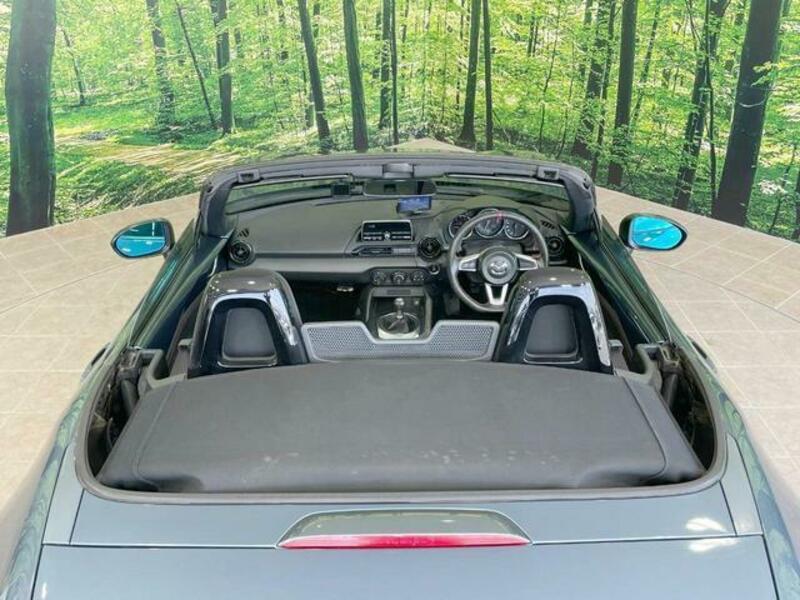 ROADSTER