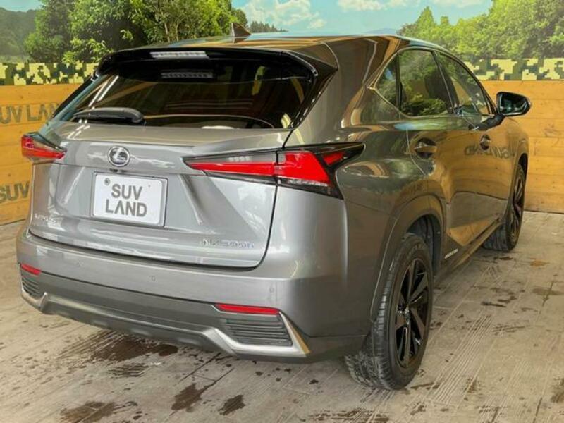 NX